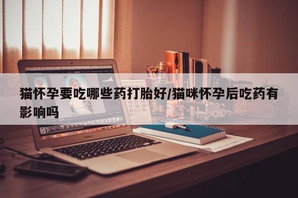 打胎药购买猫怀孕要吃哪些药打胎好/猫咪怀孕后吃药有影响吗