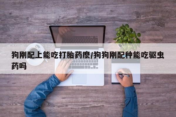 打胎药购买狗刚配上能吃打胎药麽/狗狗刚配种能吃驱虫药吗