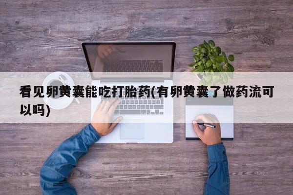 打胎药购买看见卵黄囊能吃打胎药(有卵黄囊了做药流可以吗)